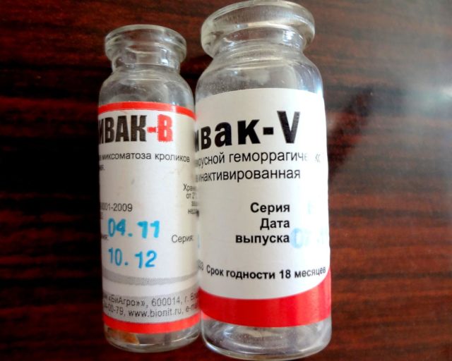Вакцина для кроликов от миксоматоза и вгбк инструкция