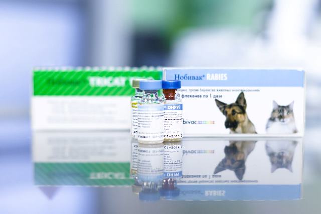 Все о вакцине Нобивак для собак