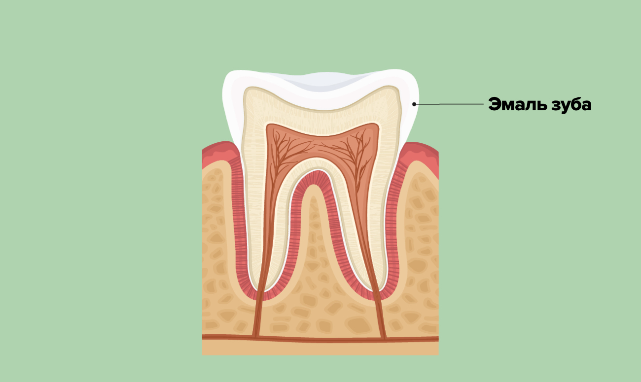 Что такое зубная эмаль