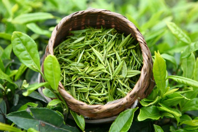 листья зеленого чая